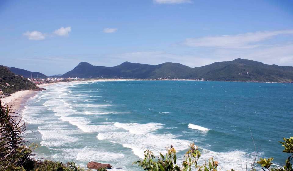 viroses_no_litoral_brasileiro